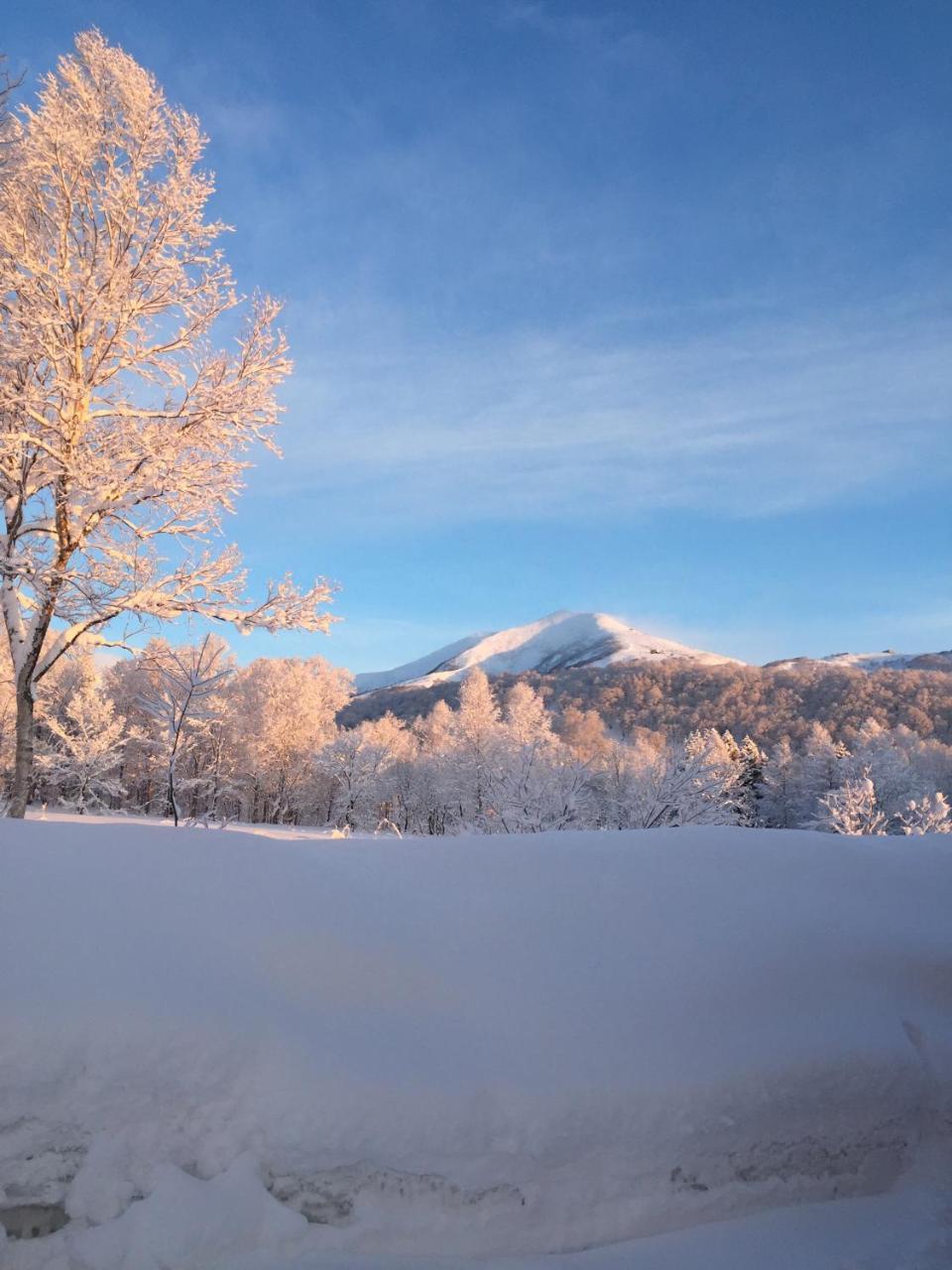 Niseko Guesthouse Nalu. מראה חיצוני תמונה